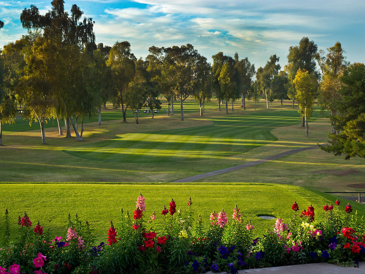 Mesa Country Club Phoenix Arizona Private Golf Course, Wedding Venue
